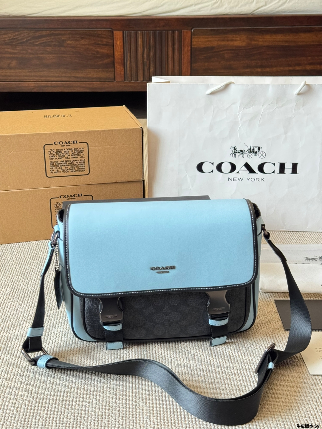 coach bag 325